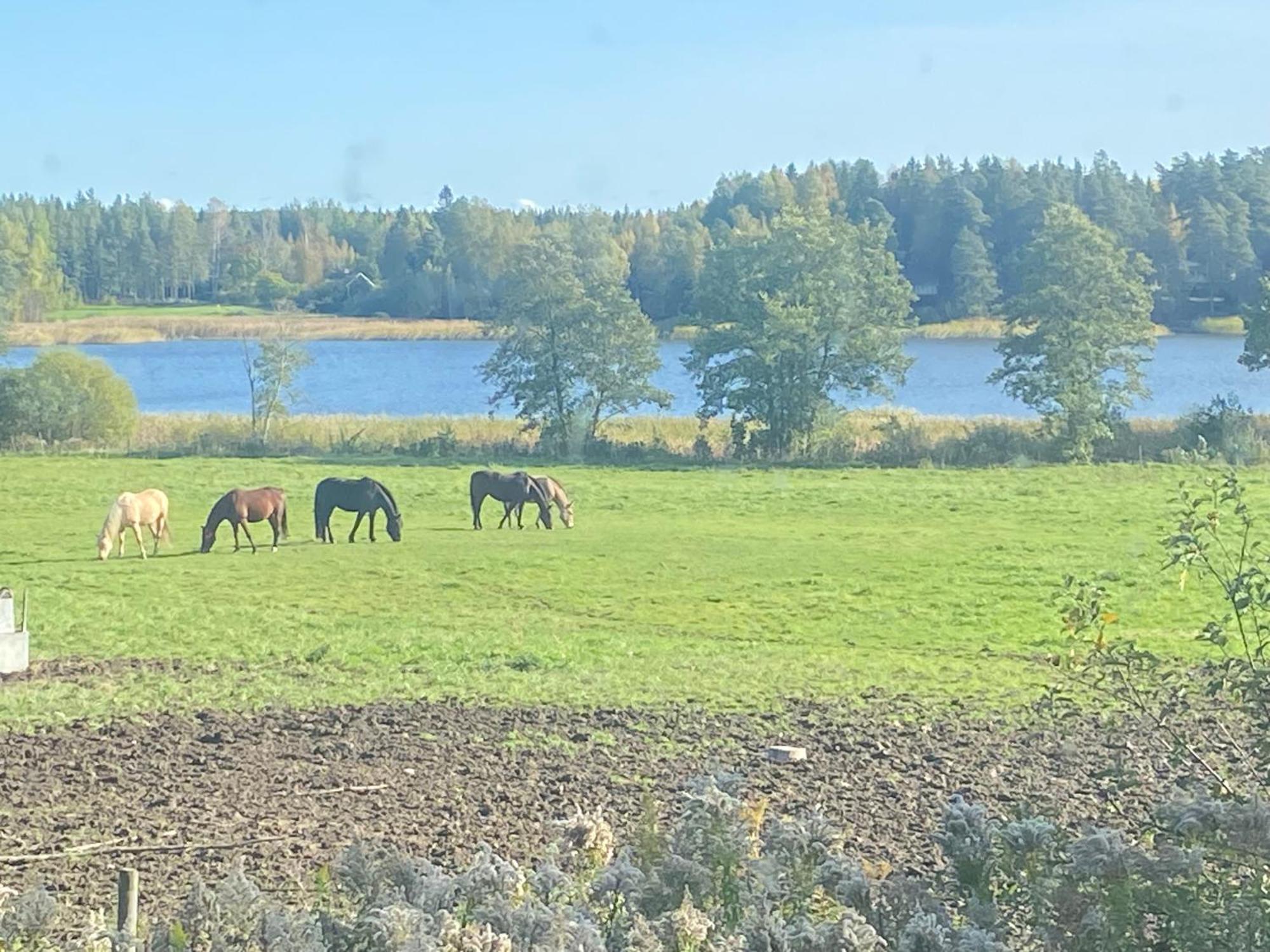 Ulvsby Ranch Western Camp Карлстад Екстериор снимка