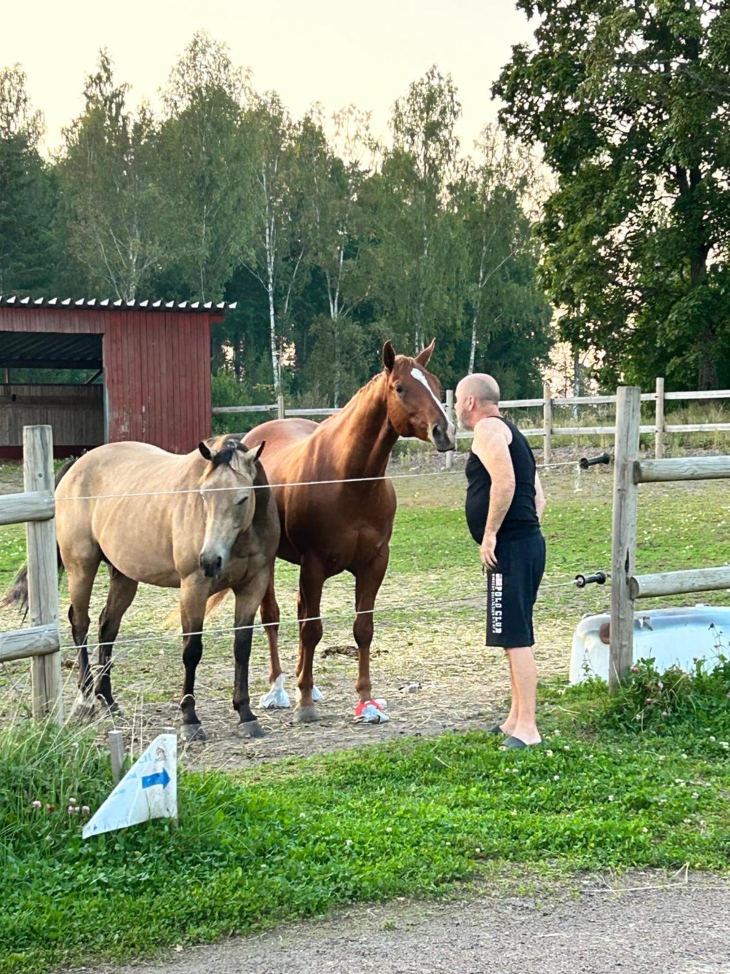 Ulvsby Ranch Western Camp Карлстад Екстериор снимка