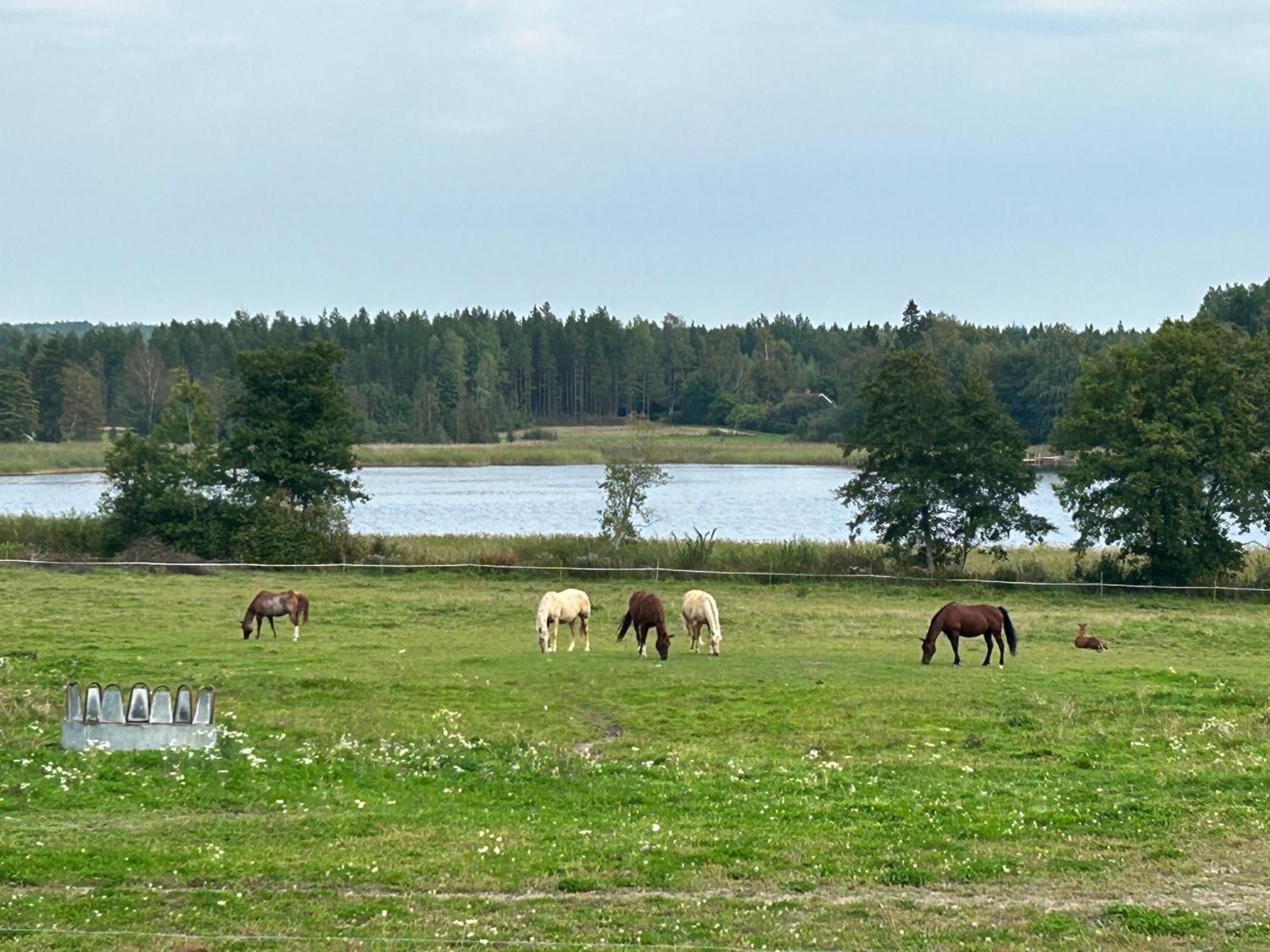 Ulvsby Ranch Western Camp Карлстад Екстериор снимка