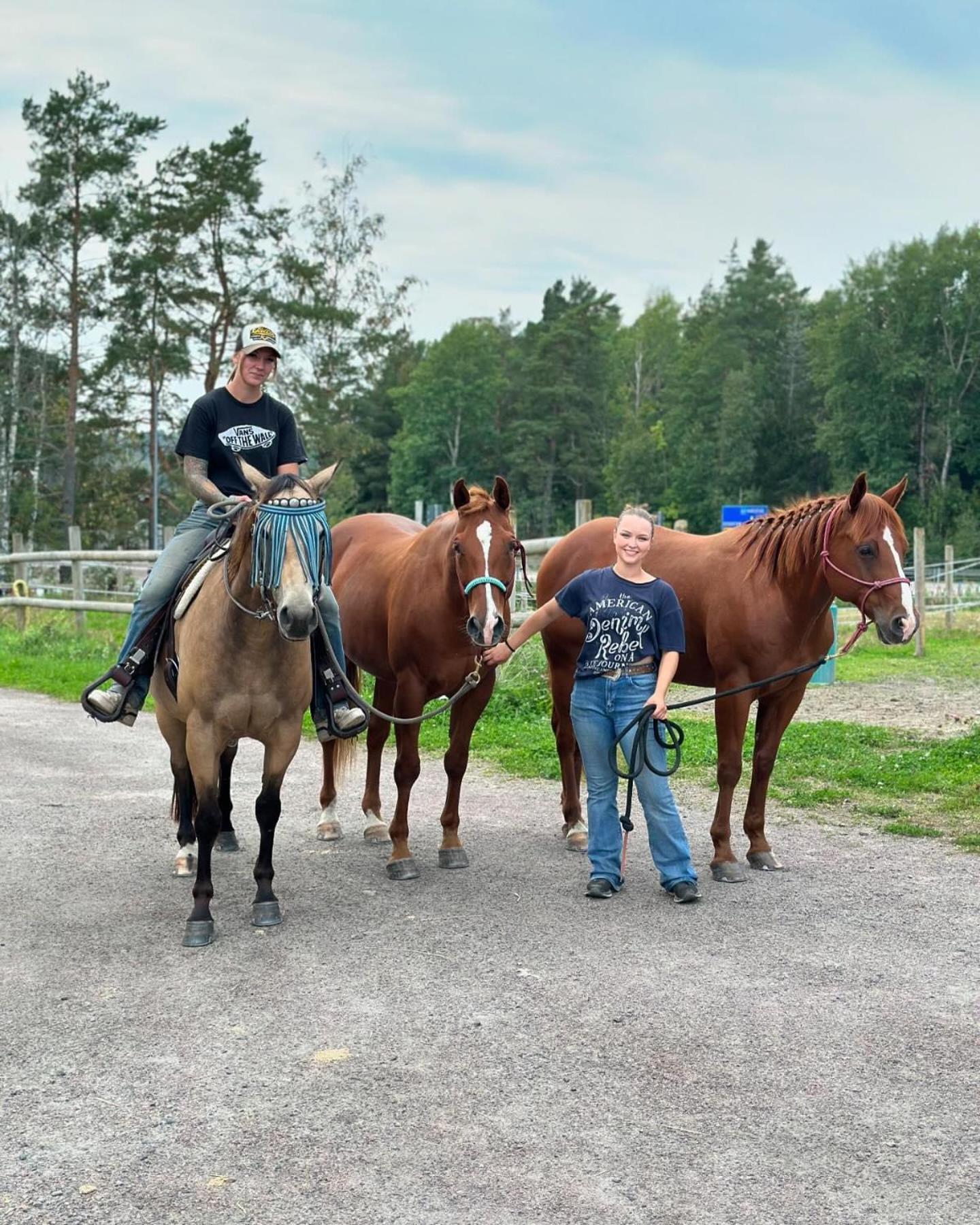 Ulvsby Ranch Western Camp Карлстад Екстериор снимка